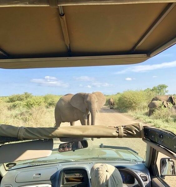 Tips on getting the best out of the tour guides in Tanzania