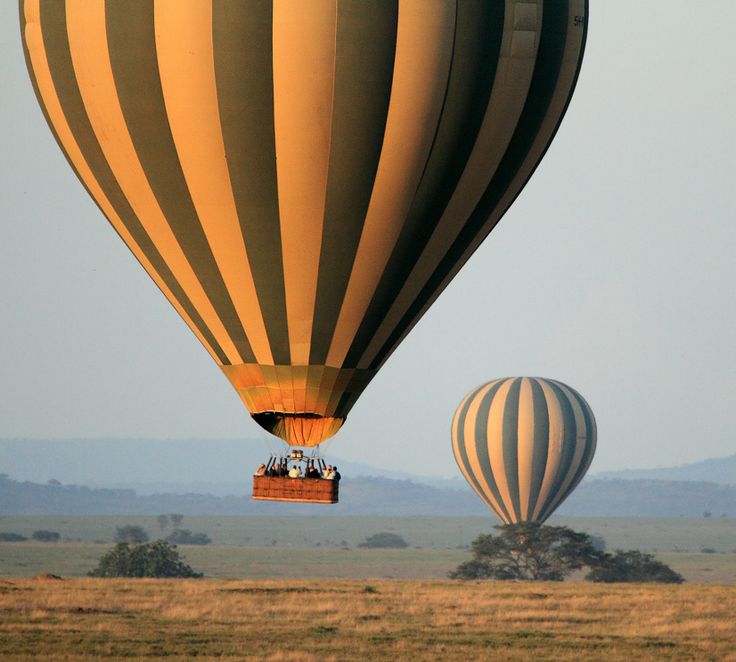 Balloon Safari
