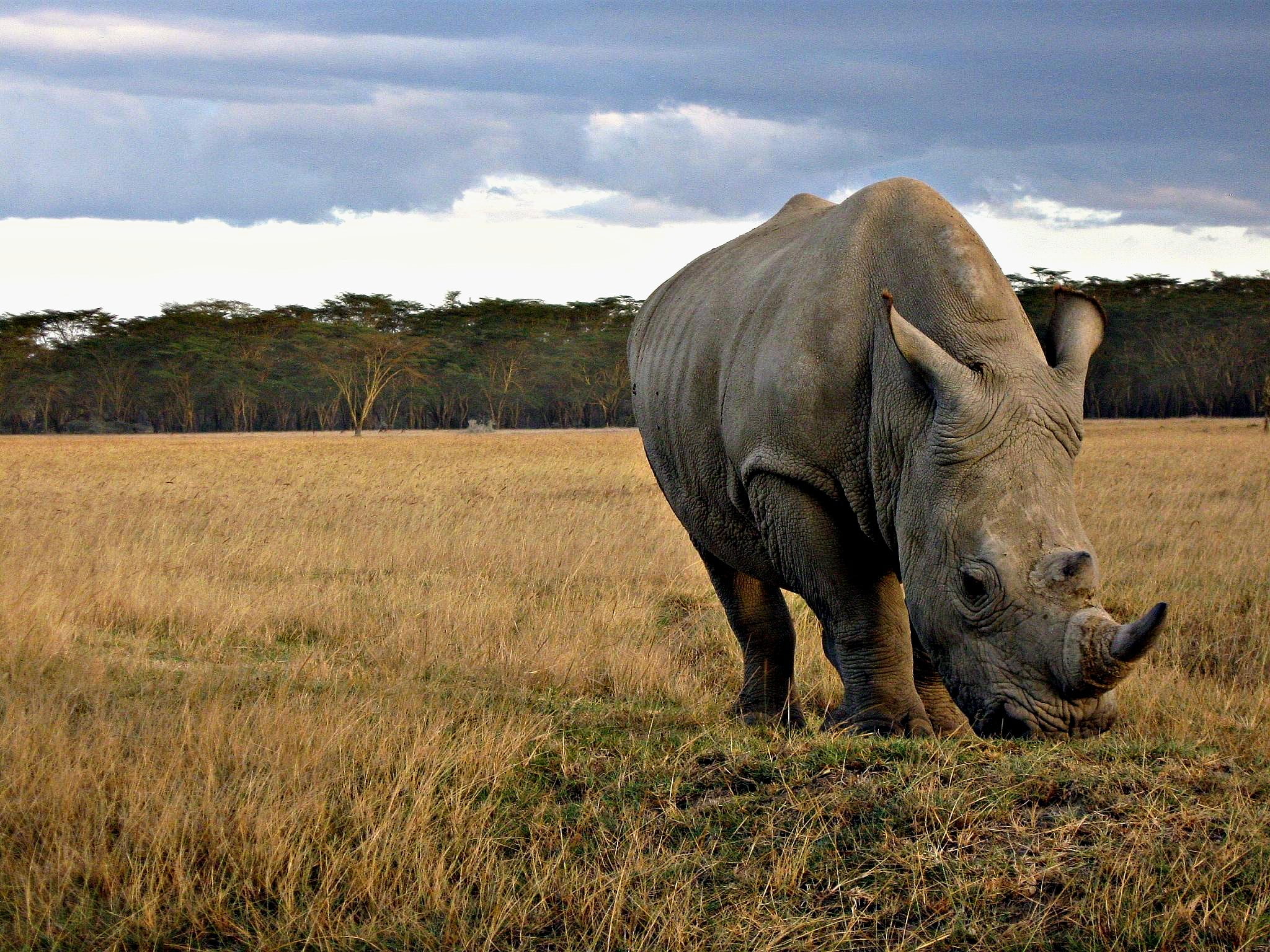 The Ngorongoro Crater Day trip