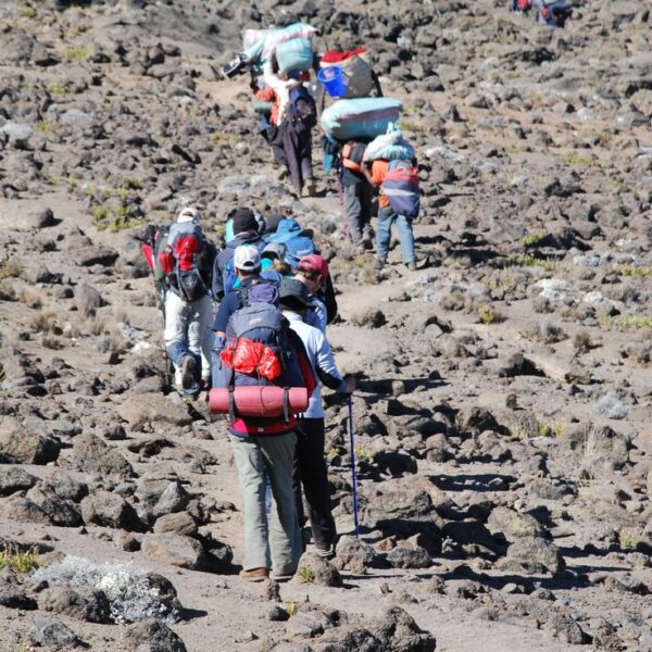 Kilmanjaro
